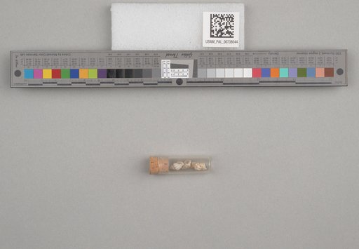 NSF ADBC EPICC TCN