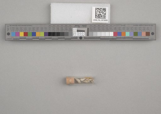 NSF ADBC EPICC TCN
