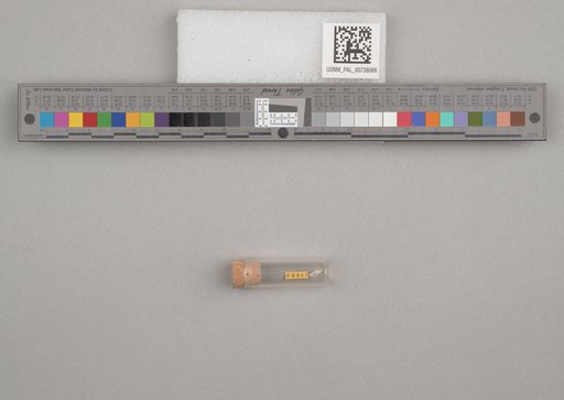 NSF ADBC EPICC TCN
