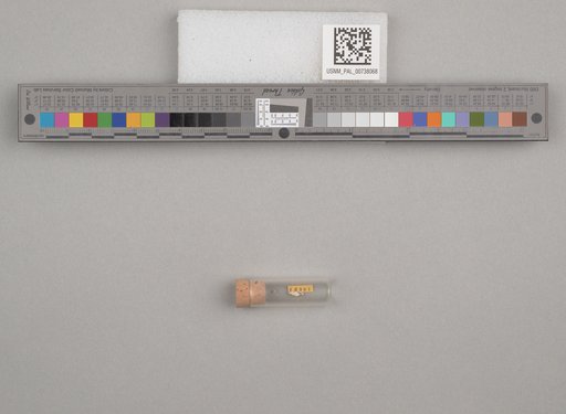 NSF ADBC EPICC TCN