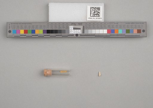 NSF ADBC EPICC TCN