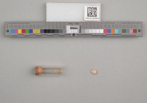 NSF ADBC EPICC TCN