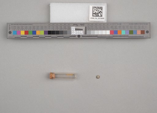 NSF ADBC EPICC TCN