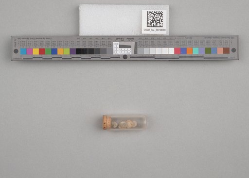 NSF ADBC EPICC TCN