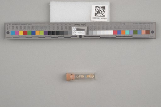 NSF ADBC EPICC TCN