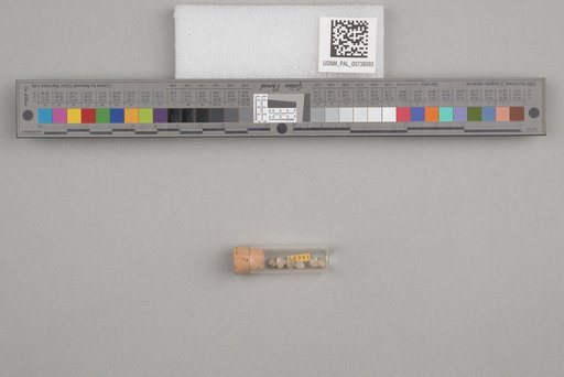 NSF ADBC EPICC TCN