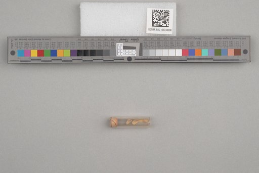 NSF ADBC EPICC TCN