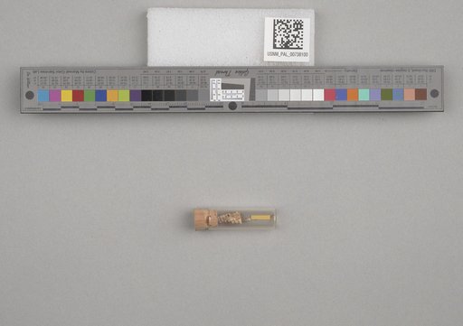 NSF ADBC EPICC TCN