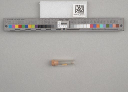 NSF ADBC EPICC TCN