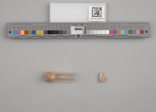 NSF ADBC EPICC TCN