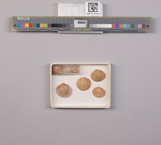 NSF ADBC EPICC TCN
