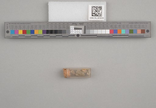 NSF ADBC EPICC TCN