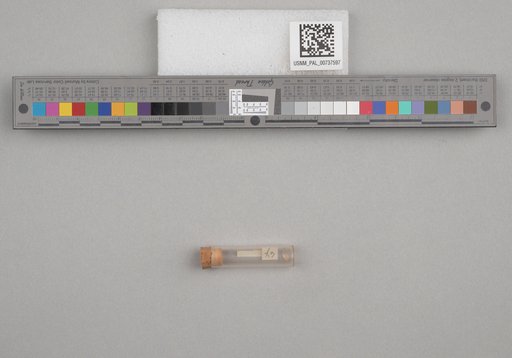 NSF ADBC EPICC TCN