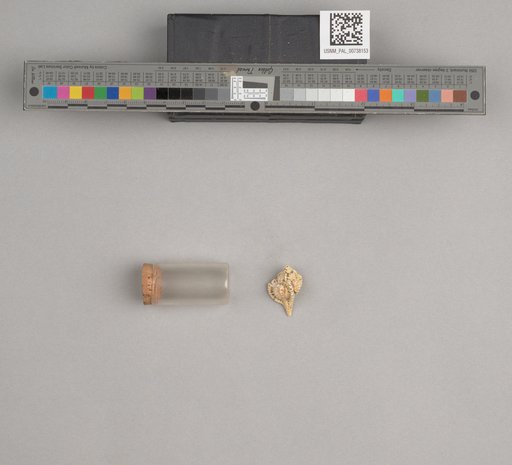 NSF ADBC EPICC TCN