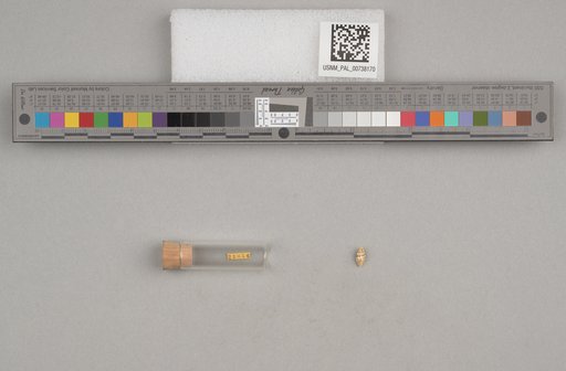 NSF ADBC EPICC TCN