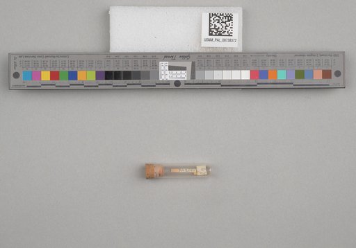 NSF ADBC EPICC TCN