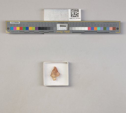 NSF ADBC EPICC TCN
