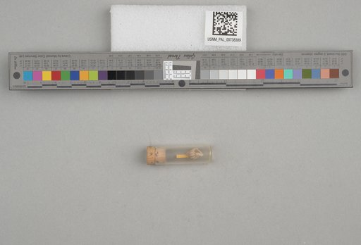 NSF ADBC EPICC TCN