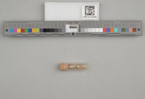 NSF ADBC EPICC TCN