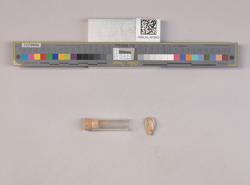 NSF ADBC EPICC TCN