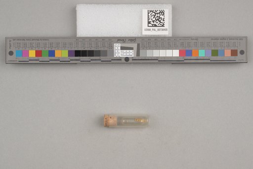 NSF ADBC EPICC TCN