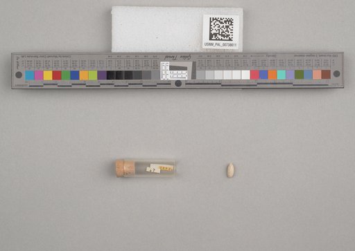 NSF ADBC EPICC TCN