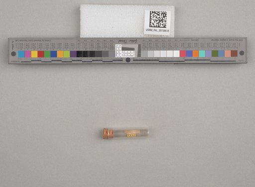 NSF ADBC EPICC TCN