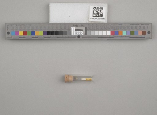 NSF ADBC EPICC TCN