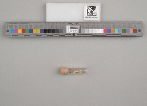 NSF ADBC EPICC TCN