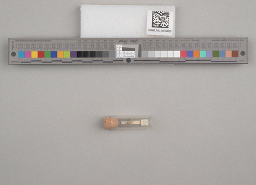 NSF ADBC EPICC TCN