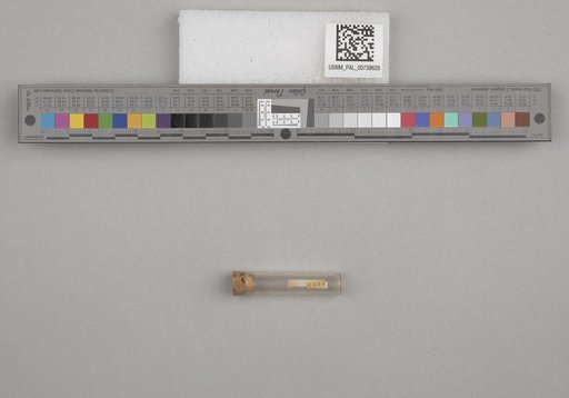 NSF ADBC EPICC TCN