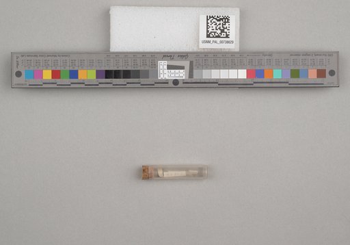 NSF ADBC EPICC TCN