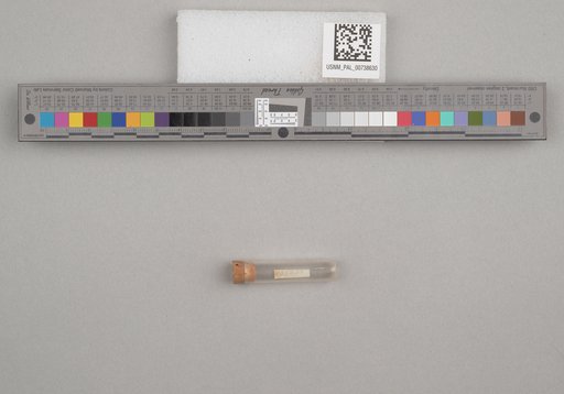 NSF ADBC EPICC TCN
