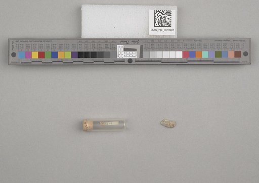 NSF ADBC EPICC TCN