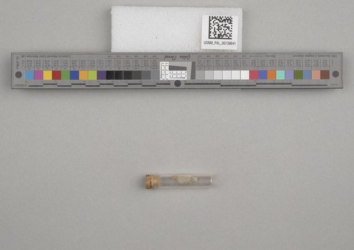 NSF ADBC EPICC TCN