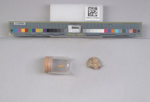 NSF ADBC EPICC TCN