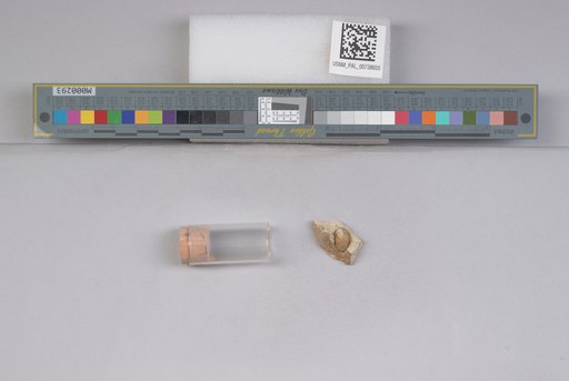 NSF ADBC EPICC TCN
