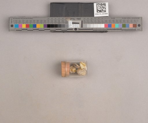 NSF ADBC EPICC TCN
