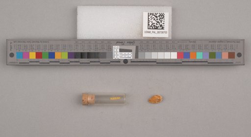 NSF ADBC EPICC TCN