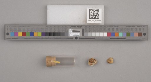 NSF ADBC EPICC TCN