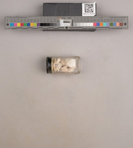 NSF ADBC EPICC TCN
