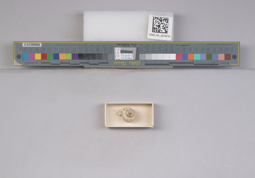 NSF ADBC EPICC TCN