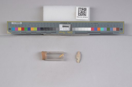 NSF ADBC EPICC TCN