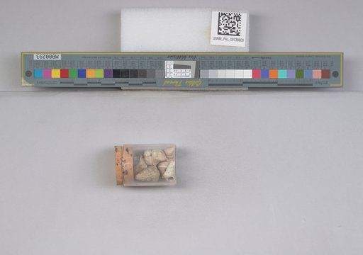 NSF ADBC EPICC TCN
