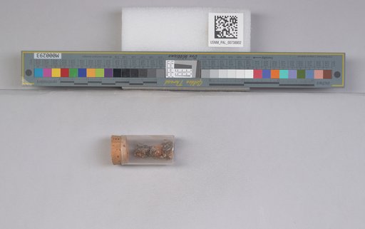 NSF ADBC EPICC TCN