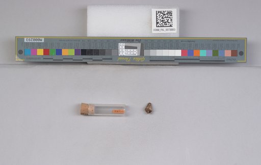 NSF ADBC EPICC TCN