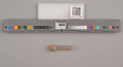 NSF ADBC EPICC TCN