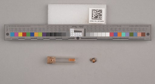 NSF ADBC EPICC TCN