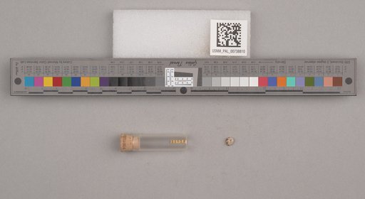 NSF ADBC EPICC TCN