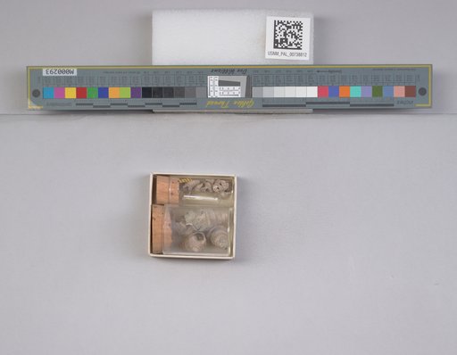 NSF ADBC EPICC TCN